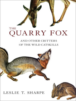 cover image of The Quarry Fox